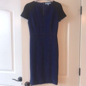 Color block Antonio Melani Dress